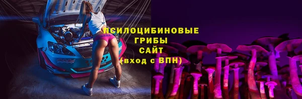 стаф Новодвинск
