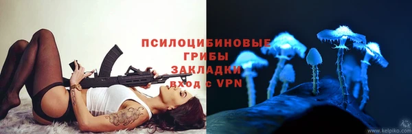 крисы Абинск